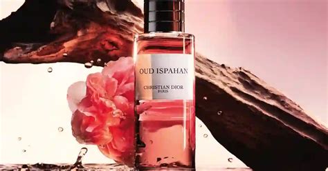 rose ispahan dior|dior ispahan reviews.